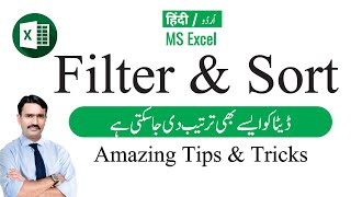 MS Excel  Important Tips and Tricks about filters and Short  Filter by color  Sort by color [upl. by Eevets]