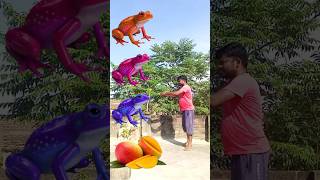 Mango Pomegranate orange grapes from frog funny vfx magictrendingshorts [upl. by Refanej]