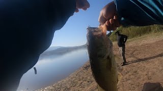 Lake Irvine Bass Fishing [upl. by Welcome118]