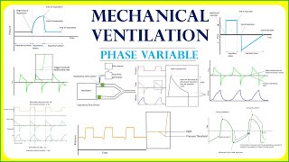 Phase variable in mechanical ventilation full video  Trigger  Limit  cycle [upl. by Henrieta663]