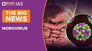 What is Norovirus Causes Symptoms Transmission amp Prevention [upl. by Canon494]