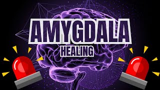 The SHOCKING Truth About the Amygdala and Illness [upl. by Barton]