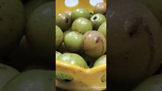 Gooseberryamla gooseberryrecipe gooseberry healthyfood food fruit [upl. by Murdocca]