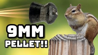 Is 9mm too much for Chipmunks [upl. by Haseefan]