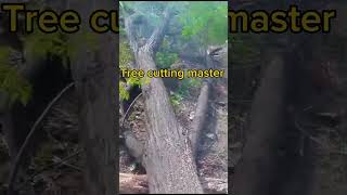 Crazy fast chainsaw incredible skills2Amazing chainsaw skills [upl. by Yahsed]