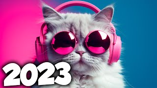 A MELHOR MUSICA ELETRONICA 2023 🔥 MÚSICAS ELETRÔNICAS MAIS TOCADAS  Alok Tiesto amp David Guetta [upl. by Terrilyn]