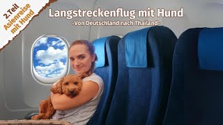 Langstreckenflug mit Hund ● Deutschland ● Thailand ● Vlog 23 [upl. by Herod]