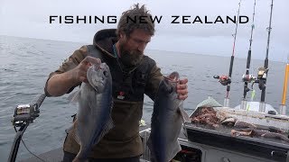 Catch and cook in the DNA Alloy Boats 570XHT deepwater fishing New Zealand [upl. by Minni]