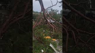 Storm Severely Damages Apartment Complex in Tennessee [upl. by Nosbig772]