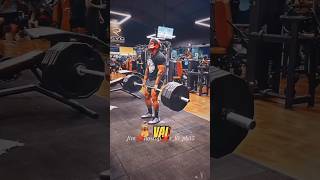 💪🤘deadlift nonstop viralshort gymlife gymworkout shorts gymerboy gymlover gymlifestyle [upl. by Philbrook562]