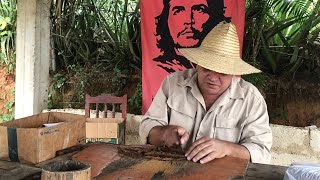 Cuban Master shows how to roll Cigar Montecristo No 4 in the Tobacco Field of Viñales Cuba [upl. by Nylime]