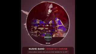 persian music  Nushe Band  Niusha Barimani  Kamancheh [upl. by Krilov]