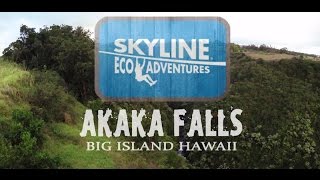 SKYLINE AKAKA FALLS FEATURING SUMMER ZIP N DIP [upl. by Saree]