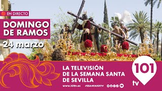 🔴 EN DIRECTO  Domingo de Ramos  Primera Parte  Semana Santa Sevilla  24 marzo 2024 [upl. by Torrey]