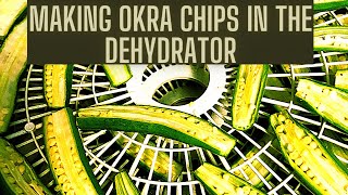 Making Okra chips in the dehydrator [upl. by Dogs]