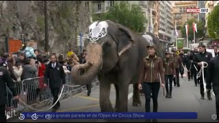 Cirque  Au cœur de la grande parade et de l’Open Air Circus Show [upl. by Arimahs966]