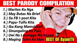 Funniest parody song compilation [upl. by Adnaluy879]