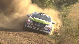 Rallye Terre de Lozère 2024  Action amp Show  DM WRC [upl. by Ianteen]