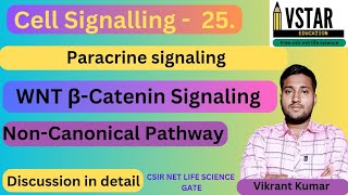 wnt signaling Pathway  wnt non canonical pathway  wnt βCatenine signaling Pathway [upl. by Wymore]