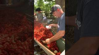 Crawfish boil in Louisiana crawfish louisiana [upl. by Hermann905]