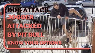 Dog Attack Pit Bull Attacks Jogger Recognizing Potential Threat What To Do When A Dog Attacks [upl. by Anavoj931]