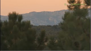 Mirador Astronómico Cardeña Vivir Los Pedroches Córdoba [upl. by Benedikta724]