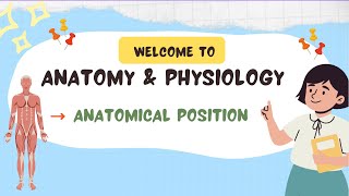 Anatomical Position  Anatomy and Physiology [upl. by Jennilee582]