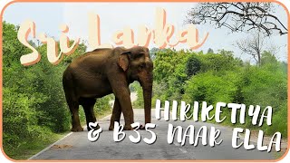 Zoveel wilde olifanten  SRI LANKA VLOG  Hiriketiya amp B35 [upl. by Otcefrep]