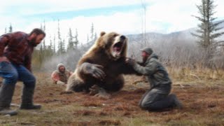 Grizzly Abattu 9 Fois À La Carabine Qui Continue De Tendre Une Embuscade Aux Chasseurs [upl. by Yurik]