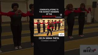 Congratulations to the newest members of Delta Sigma Theta at Vanderbilt University viralvideos [upl. by Enala]