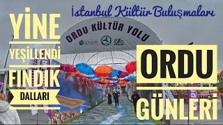 İstanbul Kültür Buluşmaları Ordu Günleri [upl. by Imoan]