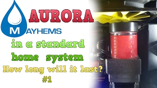 Mayhems Aurora in a home system how long does it last [upl. by Joed]