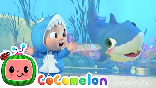 Baby Shark  CoComelon Nursery Rhymes [upl. by Ardnoyek489]