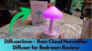 Diffuserlove Rain Cloud Humidifier Diffuser for Bedroom  Review [upl. by Anett731]