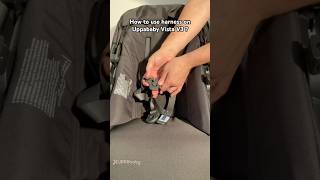 Uppababy Vista V3 Using the Harness [upl. by Zacharia]