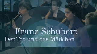 Franz Schubert Der Tod und das Mädchen  Berliner Blockflöten Orchester [upl. by Clyve471]