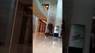 westin restaurant music song youtubeshorts shorts [upl. by Clarisa468]