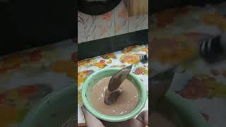 Mini vlogMilo chocolate cakemini cup cakejust 10 minutes 🤤 [upl. by Nitsed503]