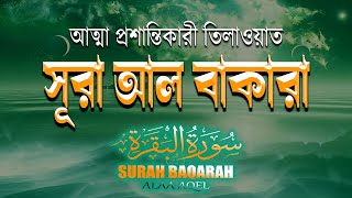 মানসিক শান্তির জন্য সূরা আলবাকারা শুনুন। Surah Al Baqarah l Very Nice Recitation। By Alaa Aqel [upl. by Boyden]