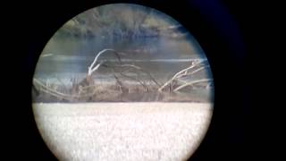 view through binoculars 10x30x60 [upl. by Finella]