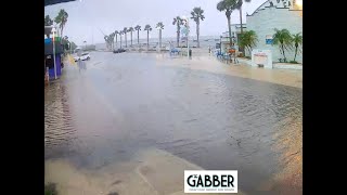 Gulfport Florida Mayor Henderson Hurricane Helene Update Sept 26 2024 [upl. by Aldredge]