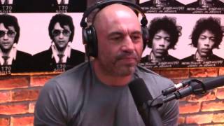 Joe Rogan on Microdosing Psilocybin [upl. by Godber]