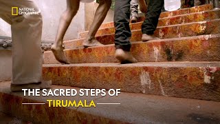 A Sacred Journey to Lord Venkateswara  Inside Tirumala Tirupati  हिंदी  S1  E1  Nat Geo [upl. by Smitt244]