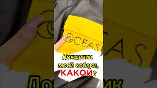 Артикул на Ozone 1686757372 собакаулыбака юмор собака хаскивидео собаки топ питомцы щенок [upl. by Lemrac]