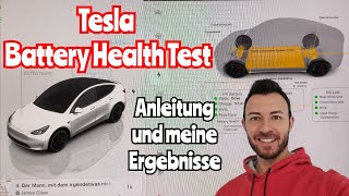 Tesla Akku Gesundheit nach 2 Jahren – So führst Du den Battery Health Test durch [upl. by Apeed385]