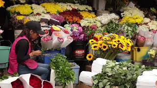 Mercado Gran Colombia Loja Ecuador [upl. by Stephenie]