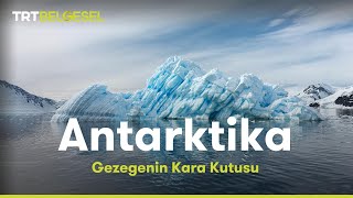 Gezegenin Kara Kutusu Antarktika  TRT Belgesel [upl. by Asyl173]