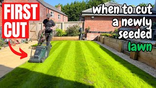 Cutting a Newly Seeded Lawn for the FIRST TIME  Its Looking Amazing [upl. by Oiram337]