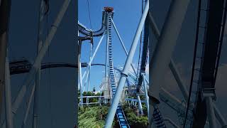 20 Stories Straight Down  Griffon at Busch Gardens Williamsburg [upl. by Zarger992]