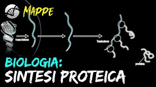 MAPPA Biologia  La Sintesi Proteica [upl. by Oinotnaesoj869]